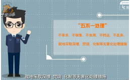 动物产品食用安全公益宣传动画